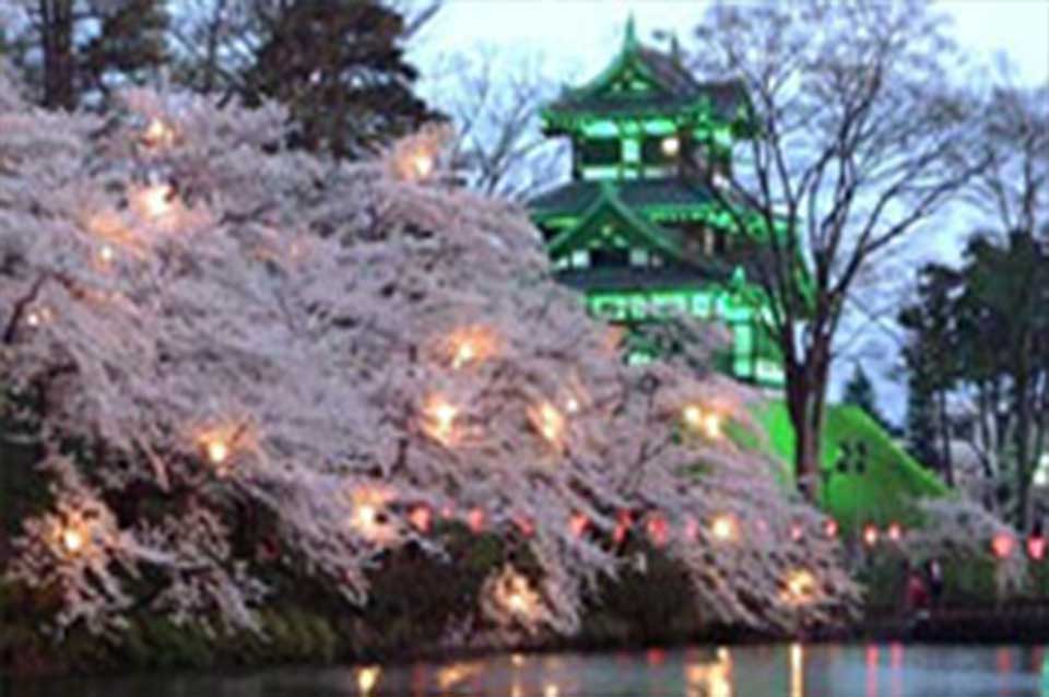 高田城址公園/徒歩20分